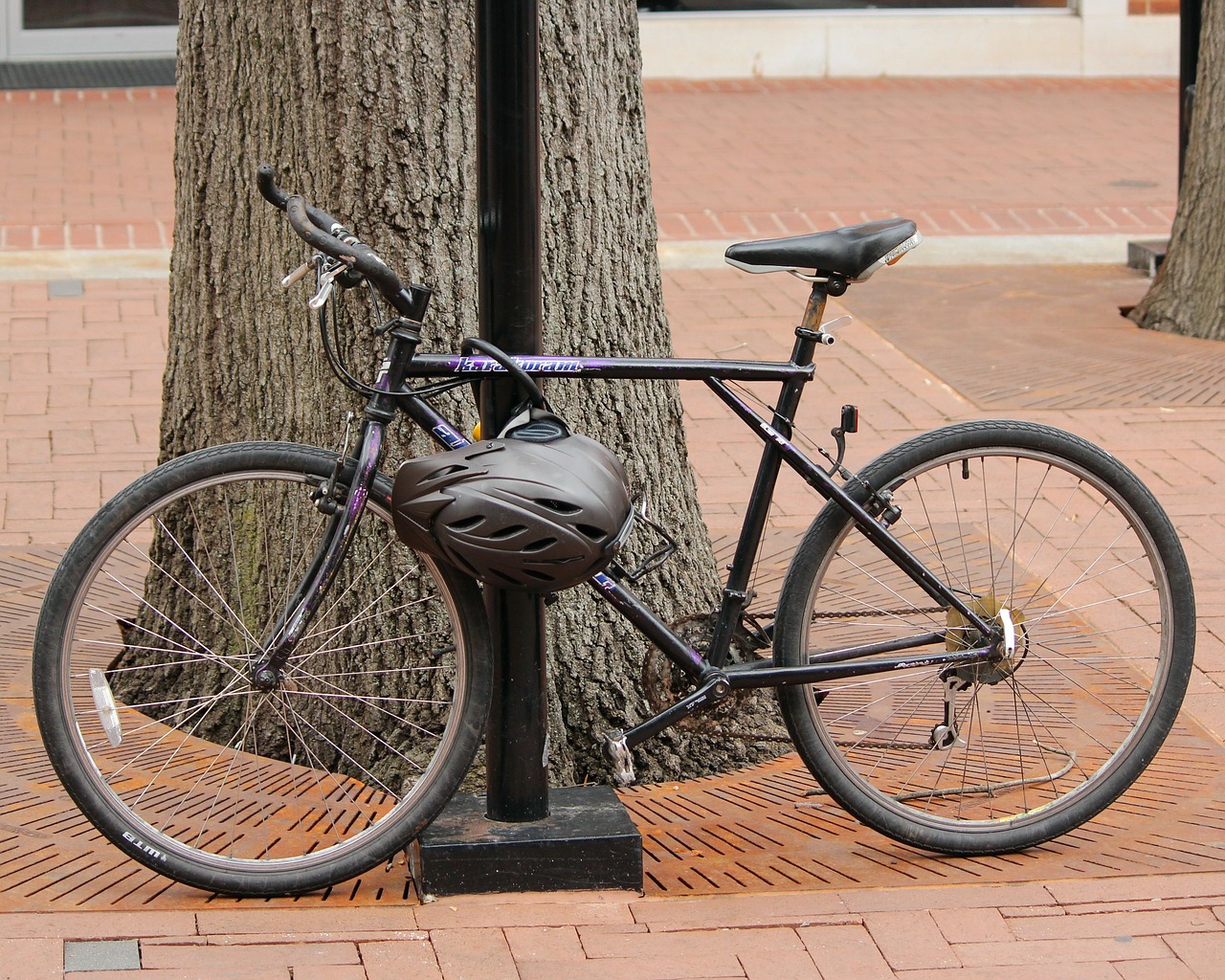 best u locks for bikes